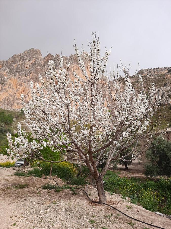 Cortijo El Chorreadero En Parque Natural Sierra De Cazorla Los Rosales  المظهر الخارجي الصورة