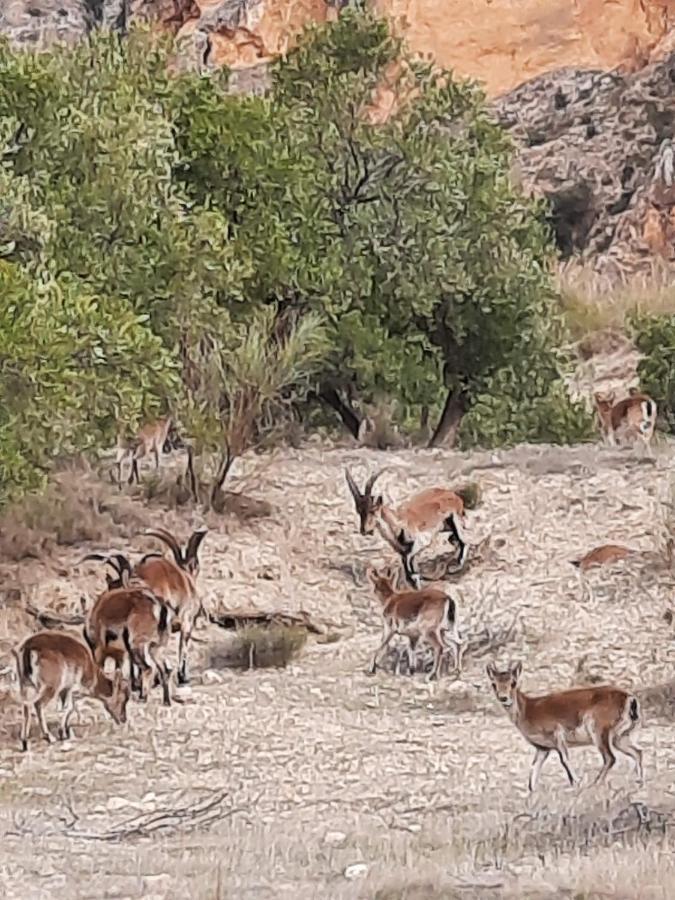 Cortijo El Chorreadero En Parque Natural Sierra De Cazorla Los Rosales  المظهر الخارجي الصورة