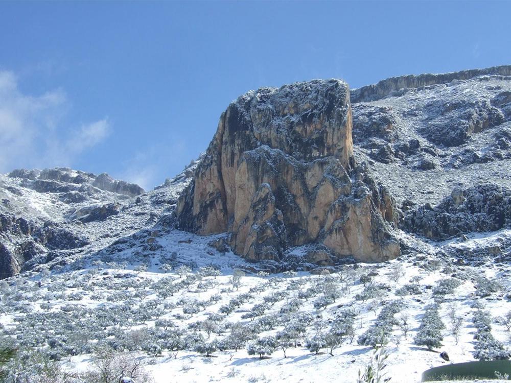 Cortijo El Chorreadero En Parque Natural Sierra De Cazorla Los Rosales  المظهر الخارجي الصورة