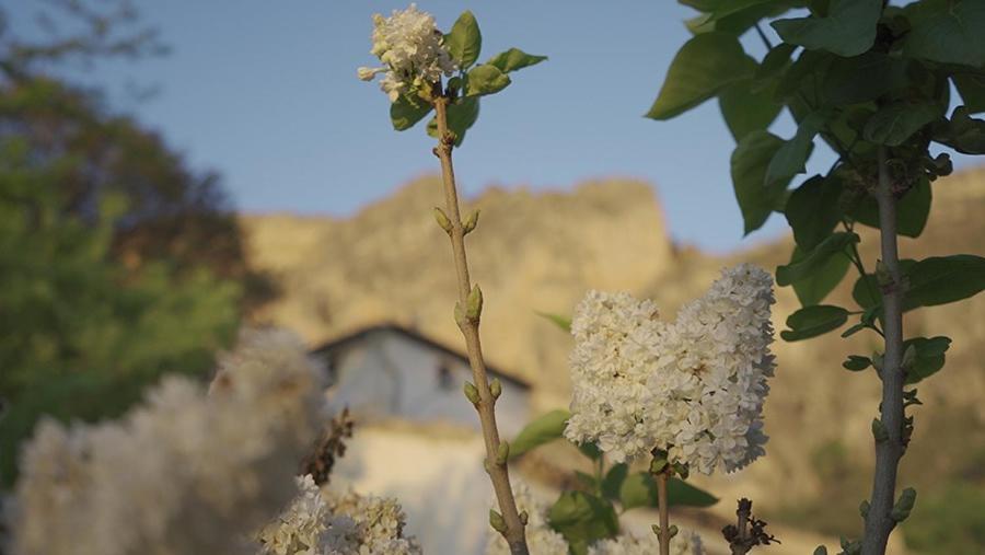 Cortijo El Chorreadero En Parque Natural Sierra De Cazorla Los Rosales  المظهر الخارجي الصورة